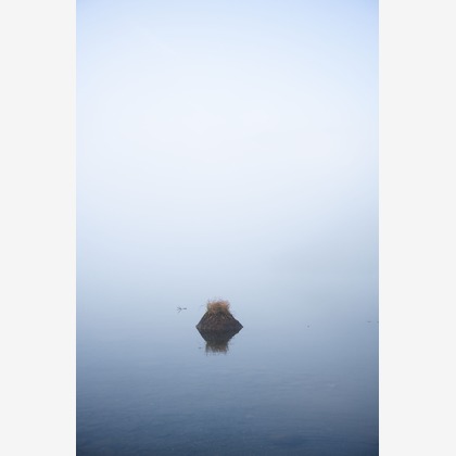 西澤 大和が撮影したウェディングや家族、ビジネスの写真