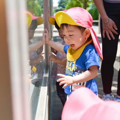 Happy Baby Projectが撮影した「:albumName」の写真