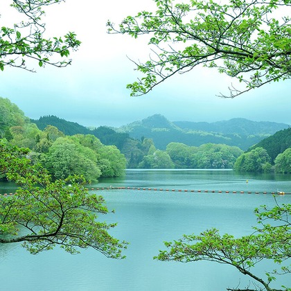 若林聖人が撮影した店舗/オフィス/サロン撮影/料理撮影/人物撮影の写真