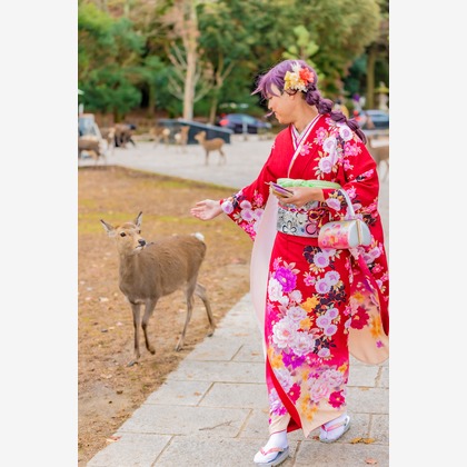 植村　誠が撮影した「:albumName」の写真