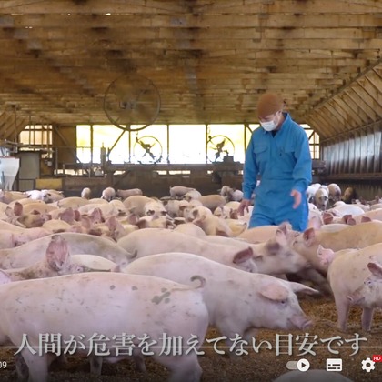 Castella Designが撮影した動画撮影の写真