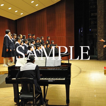 TOKOが撮影したイベント/スナップ撮影の写真