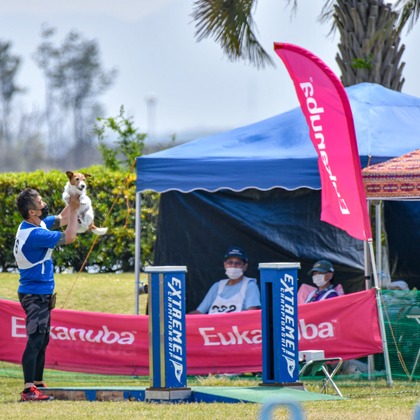 スタジオファンタスが撮影した「:albumName」の写真