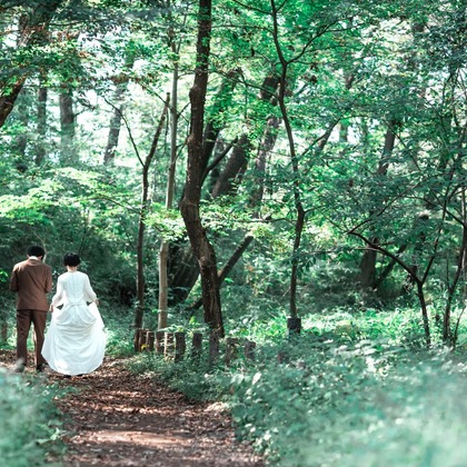 Photo of :albumName taken by kudophoto