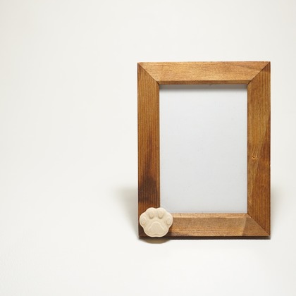 出張撮影のメモリーズが撮影した「:albumName」の写真