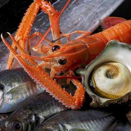 合同会社めろんぱん・ふぉとが撮影した料理撮影の写真