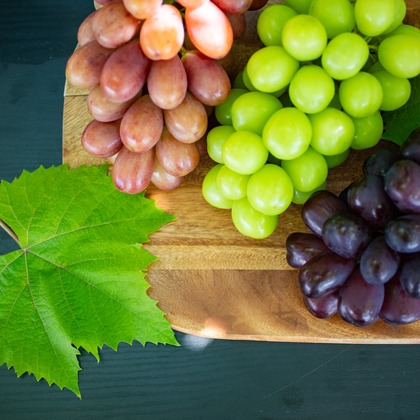 大森美紗生が撮影した店舗/オフィス/サロン撮影/商品/物撮りの写真