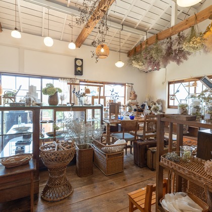 ミヤタカズコが撮影した「:albumName」の写真