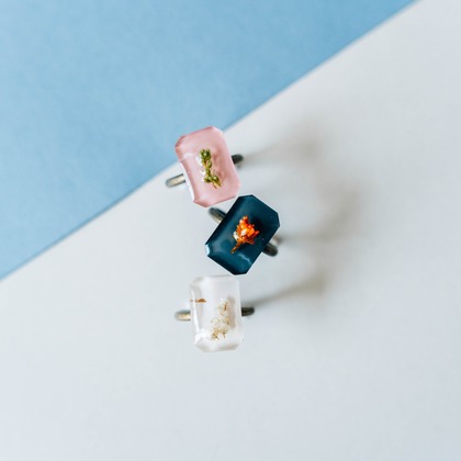 鈴木英治が撮影した「:albumName」の写真