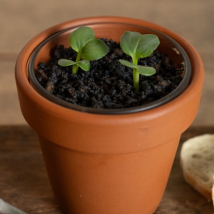 Tatsuyaが撮影した「:albumName」の写真