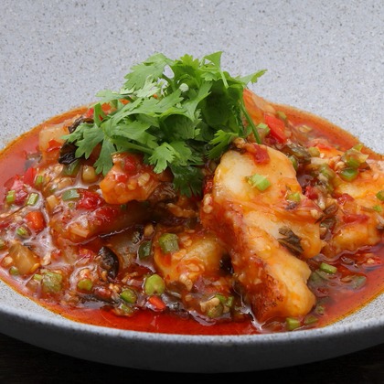 森安　照が撮影した「:albumName」の写真