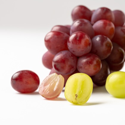 福田博之が撮影した「:albumName」の写真