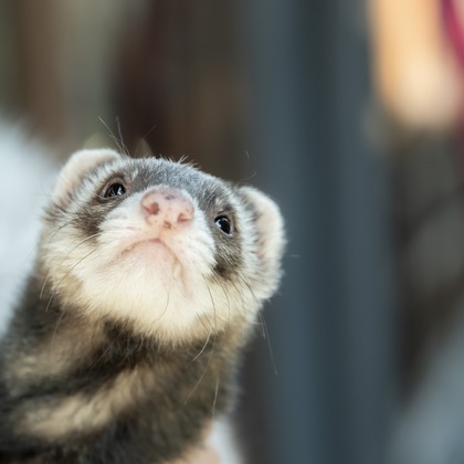 寫樂斎が撮影した「:albumName」の写真