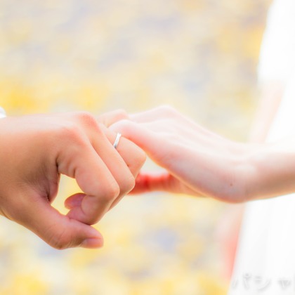 パシャ陽和が撮影した「:albumName」の写真