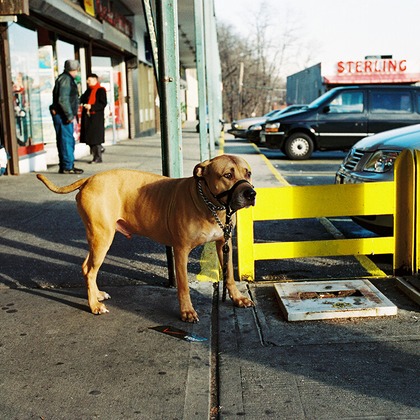 森田寫眞館が撮影した「:albumName」の写真