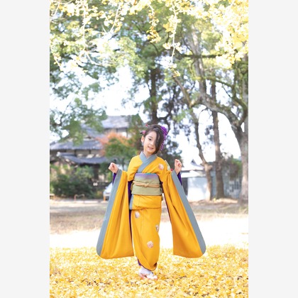 品川写真事務所が撮影した「:albumName」の写真