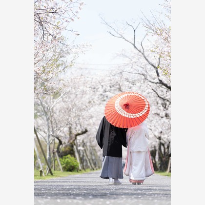 ハネムーンアベニューが撮影したその他の写真