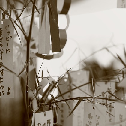 photo 4 u（塙田 基伸）が撮影した「:albumName」の写真