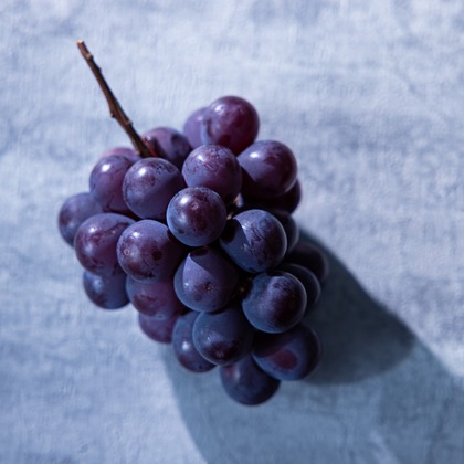 PortLichtが撮影した料理撮影/商品/物撮りの写真