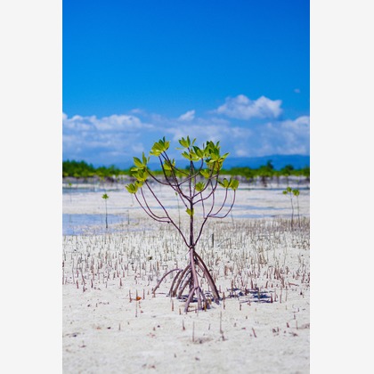 Katsuhiko Suzukiが撮影した「:albumName」の写真