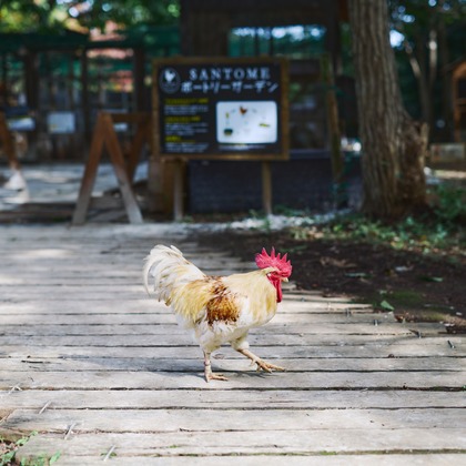 Shun Kanazawaが撮影した「:albumName」の写真