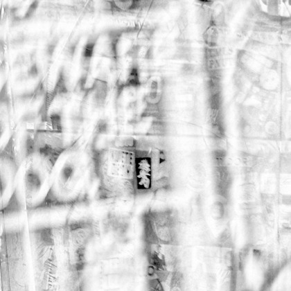 baysidecoyoteが撮影したその他/イベント/スナップ撮影の写真