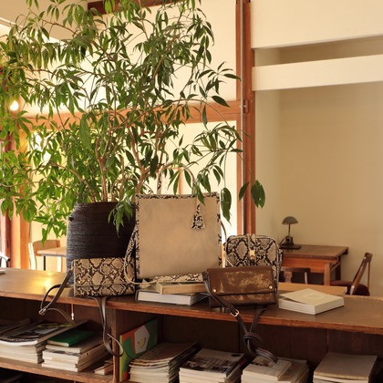 y-photoが撮影した「:albumName」の写真