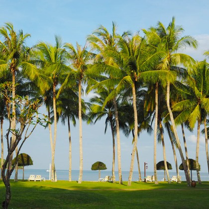 photographer yOUが撮影した「landscape」の写真