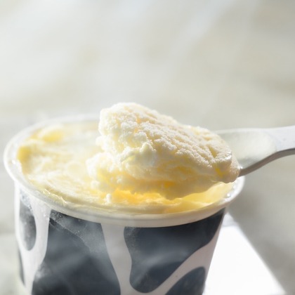 R-4photographが撮影したウェディングや家族、ビジネスの写真