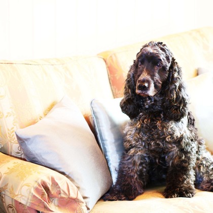 森安　照が撮影した「:albumName」の写真