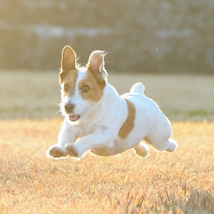 Sara Photo Worksが撮影したその他の写真