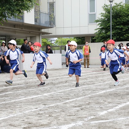 株式会社クリエイティブストゥディオワークス宮田絵里子が撮影した「:albumName」の写真
