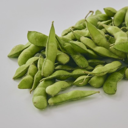 佐藤　陽亮が撮影した「:albumName」の写真