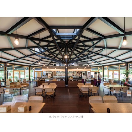 クリエイティブツリーが撮影した「建築写真」の写真