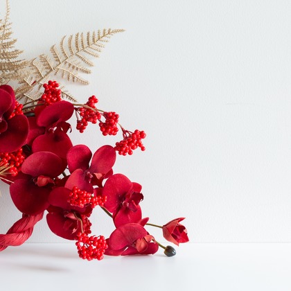 デグチマミが撮影した「:albumName」の写真