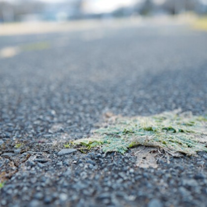 手塚隆弘が撮影したイベント/スナップ撮影の写真