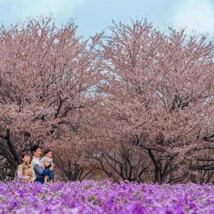 MIELQAが撮影した「:albumName」の写真