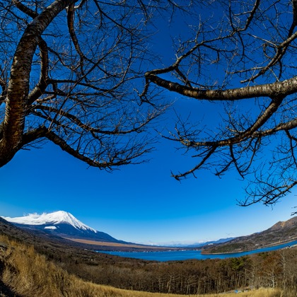 スタジオファンタスが撮影した「:albumName」の写真