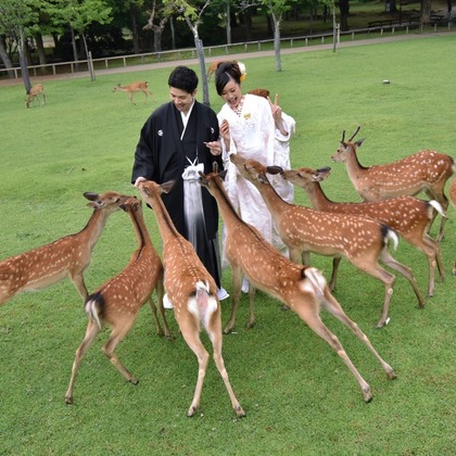 キキフォトワークスが撮影したウェディングや家族、ビジネスの写真