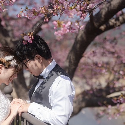 石田誠写真事務所が撮影した「:albumName」の写真