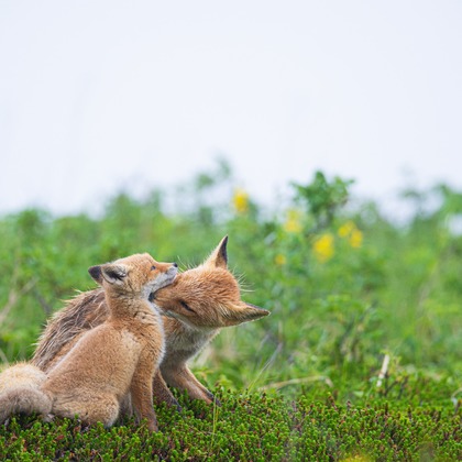 山口奈緒が撮影した「:albumName」の写真