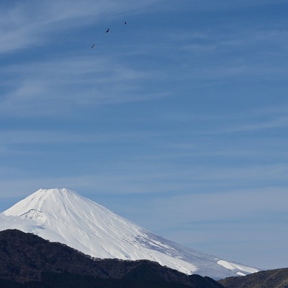 あまかど スタジオが撮影したその他の写真