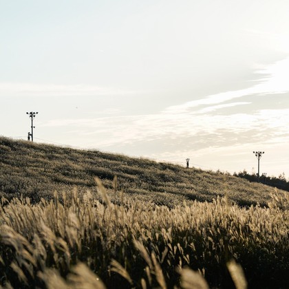 内山慎也が撮影した「:albumName」の写真