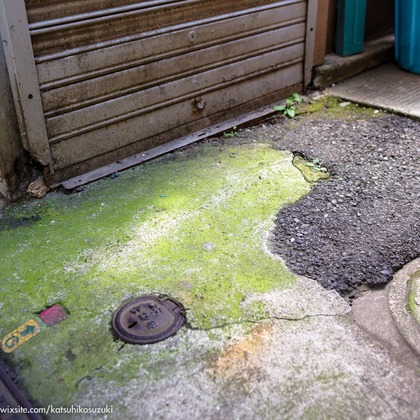 Katsuhiko Suzukiが撮影した「:albumName」の写真