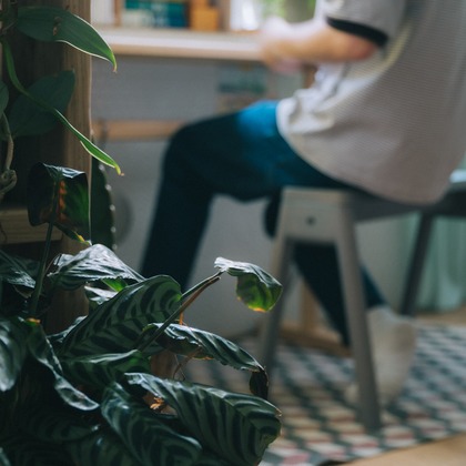 MIFUNEが撮影したウェディングや家族、ビジネスの写真