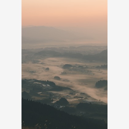 大坪幹武が撮影したウェディングや家族、ビジネスの写真