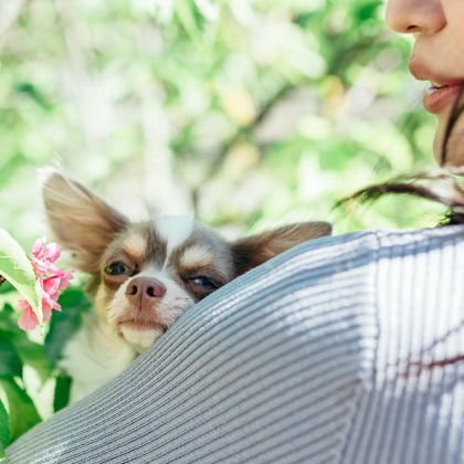 ポートレート沖縄が撮影した「:albumName」の写真