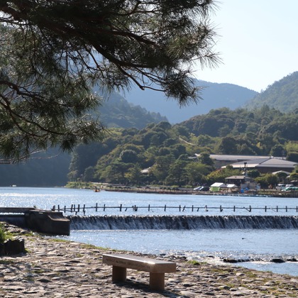 えむあんりみてっどが撮影したウェディングや家族、ビジネスの写真