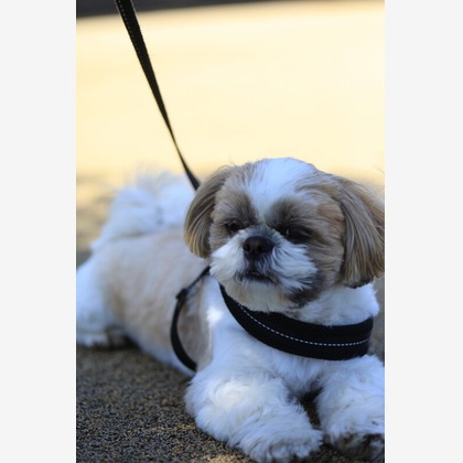 CREAMYが撮影した「:albumName」の写真