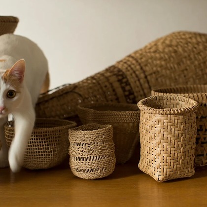 白井由香里写真事務所が撮影した「:albumName」の写真